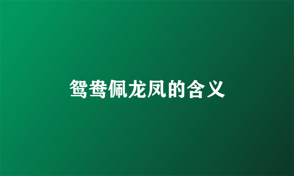 鸳鸯佩龙凤的含义