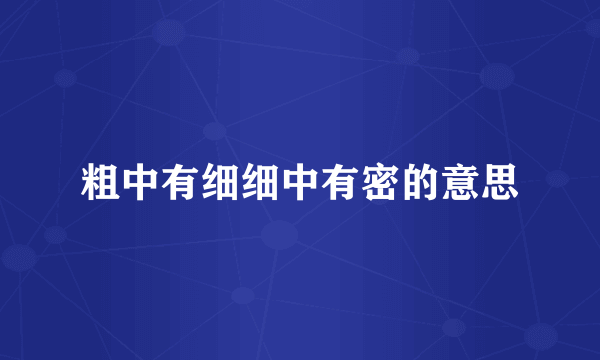 粗中有细细中有密的意思