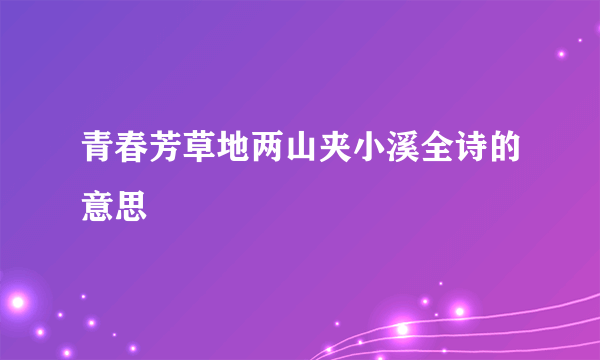 青春芳草地两山夹小溪全诗的意思