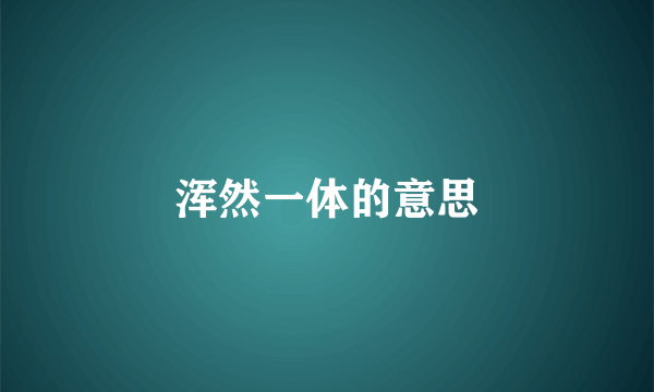 浑然一体的意思
