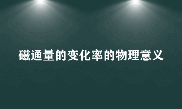 磁通量的变化率的物理意义