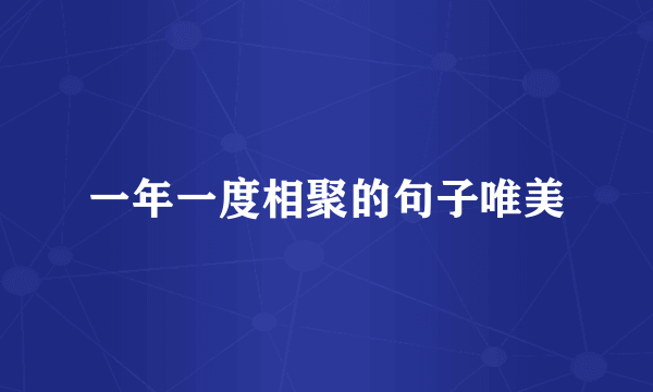 一年一度相聚的句子唯美