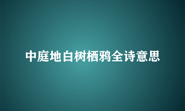 中庭地白树栖鸦全诗意思