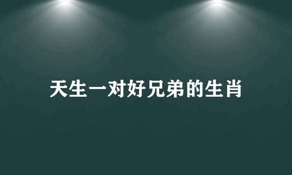 天生一对好兄弟的生肖