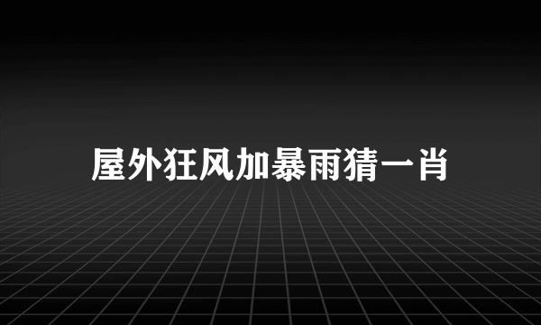 屋外狂风加暴雨猜一肖