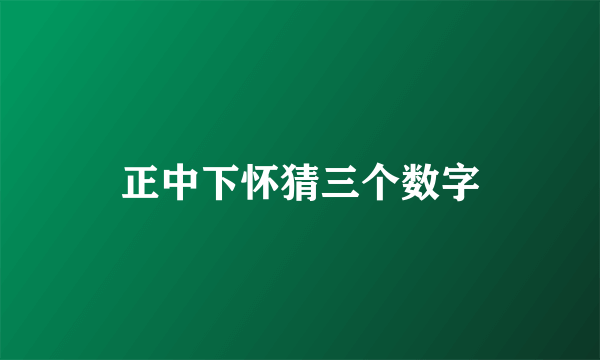 正中下怀猜三个数字