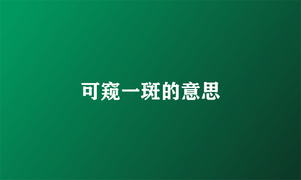 可窥一斑的意思