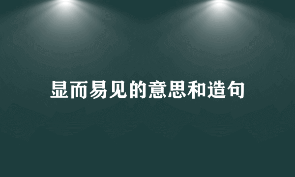 显而易见的意思和造句