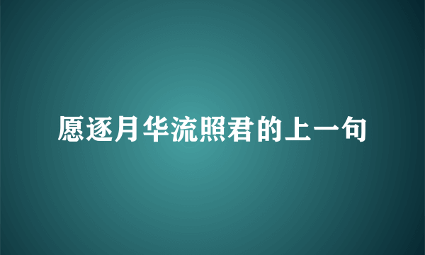 愿逐月华流照君的上一句