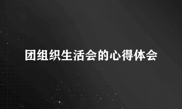 团组织生活会的心得体会