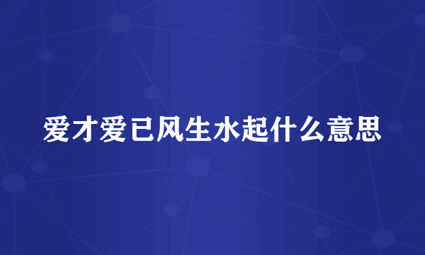 爱才爱已风生水起什么意思