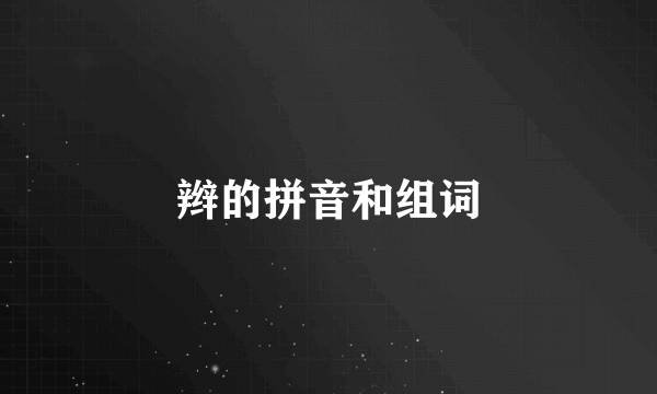 辫的拼音和组词