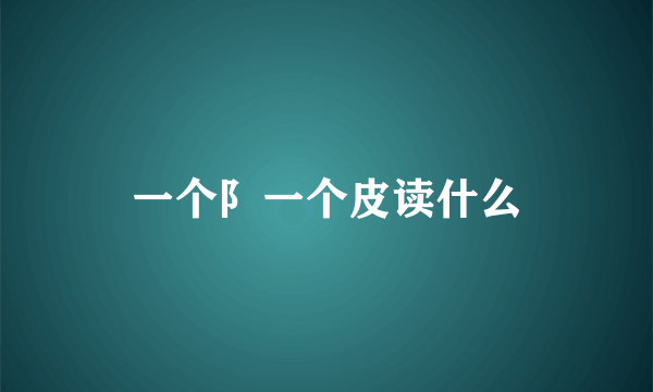 一个阝一个皮读什么