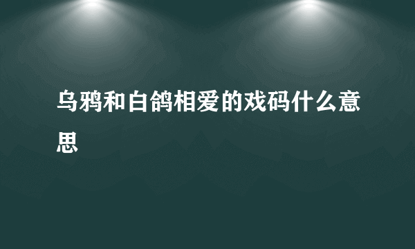 乌鸦和白鸽相爱的戏码什么意思