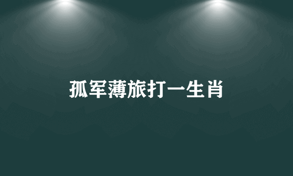 孤军薄旅打一生肖
