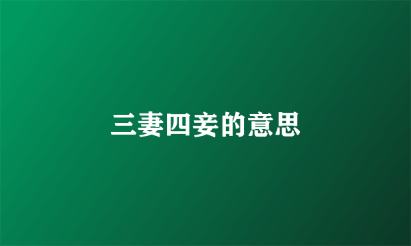 三妻四妾的意思
