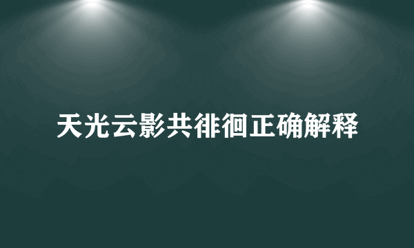 天光云影共徘徊正确解释