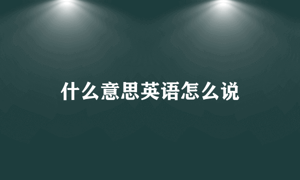 什么意思英语怎么说
