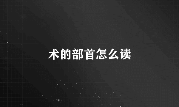 术的部首怎么读