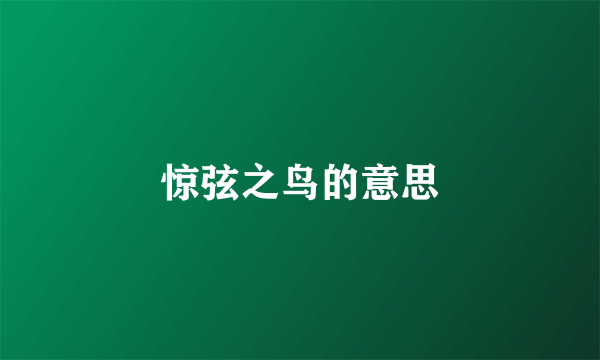 惊弦之鸟的意思