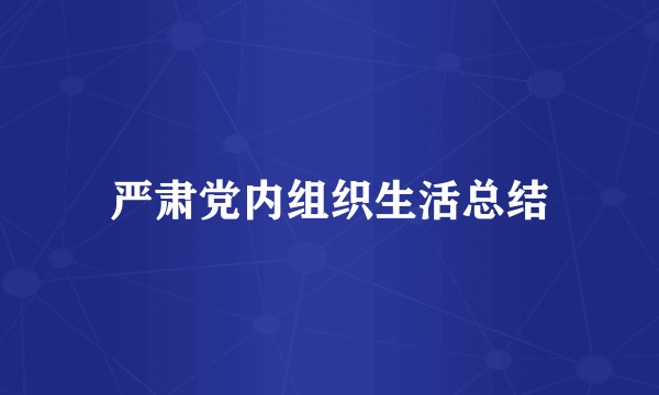 严肃党内组织生活总结