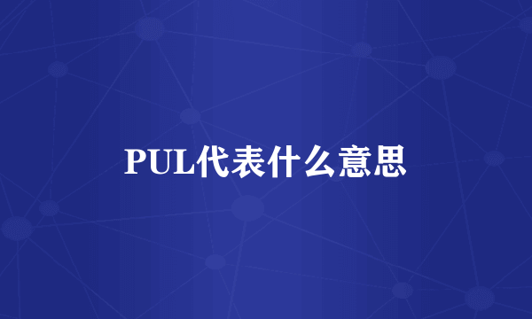PUL代表什么意思