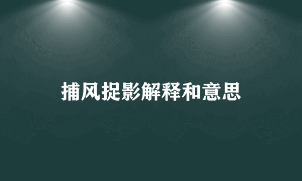 捕风捉影解释和意思
