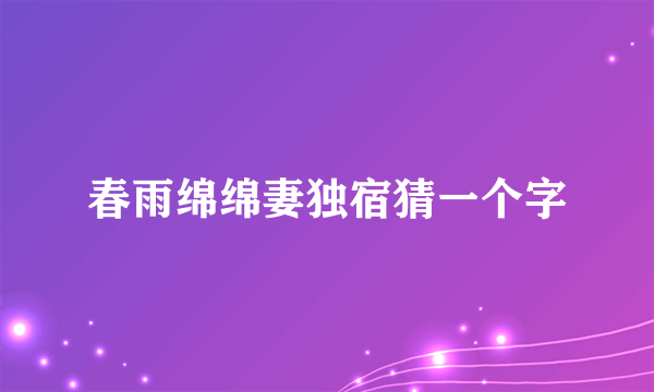 春雨绵绵妻独宿猜一个字