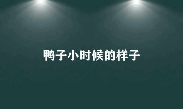 鸭子小时候的样子