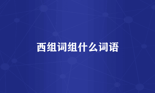 西组词组什么词语