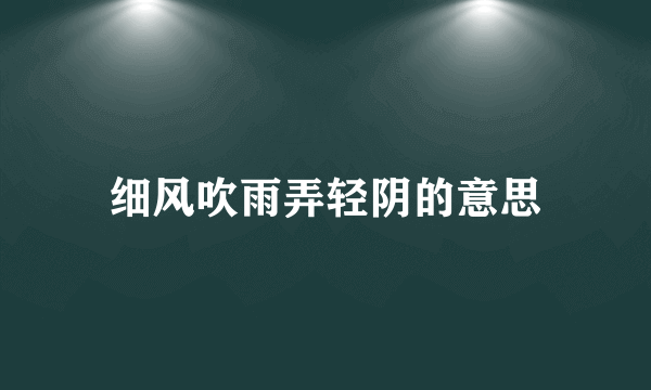细风吹雨弄轻阴的意思