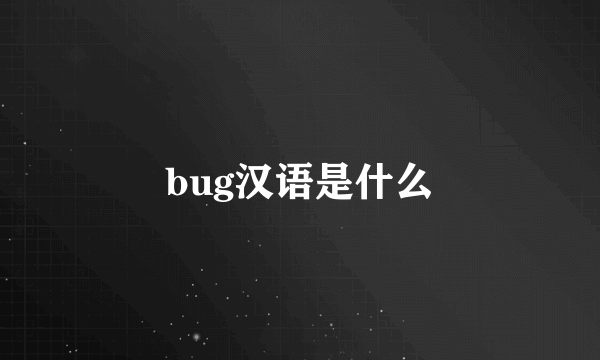 bug汉语是什么