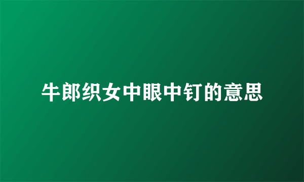 牛郎织女中眼中钉的意思