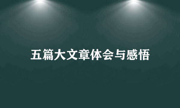 五篇大文章体会与感悟