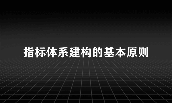 指标体系建构的基本原则