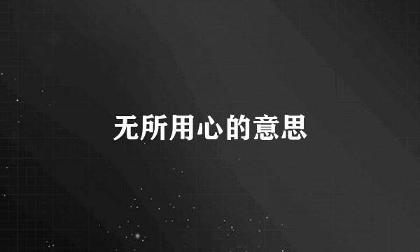 无所用心的意思