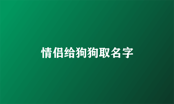 情侣给狗狗取名字