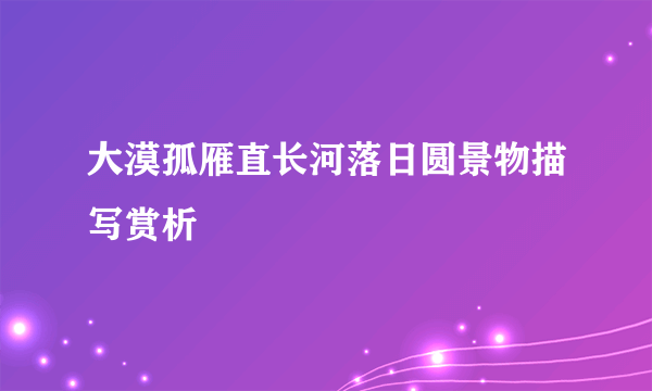 大漠孤雁直长河落日圆景物描写赏析