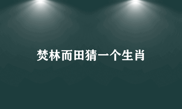 焚林而田猜一个生肖