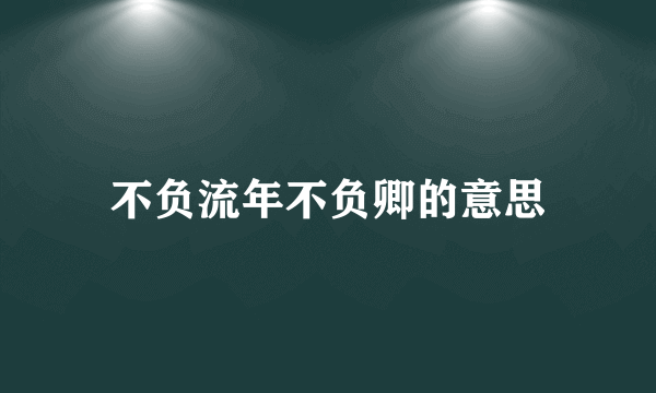 不负流年不负卿的意思