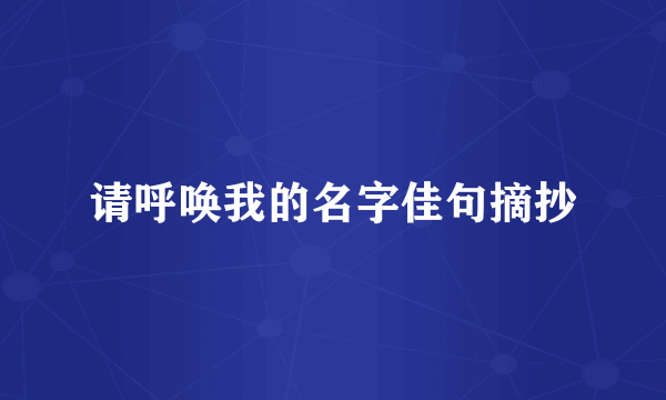 请呼唤我的名字佳句摘抄