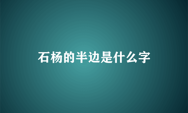 石杨的半边是什么字