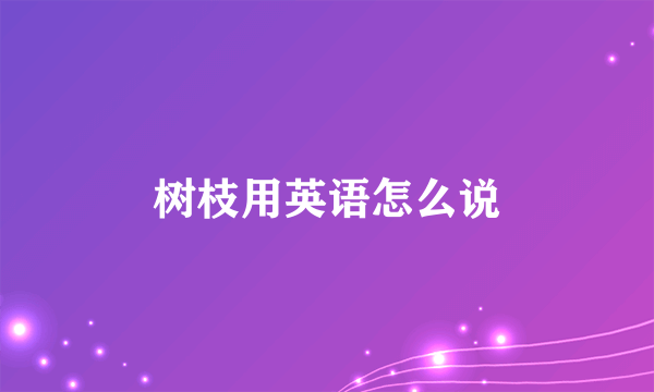 树枝用英语怎么说