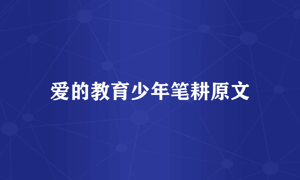 爱的教育少年笔耕原文
