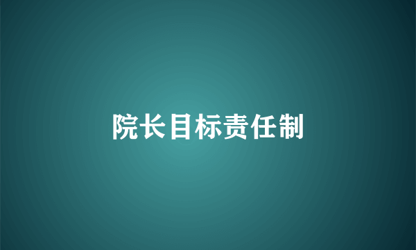 院长目标责任制