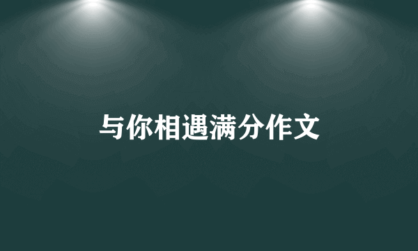 与你相遇满分作文