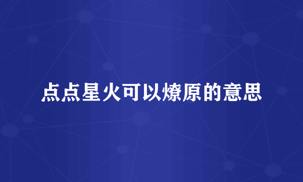 点点星火可以燎原的意思
