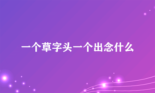 一个草字头一个出念什么