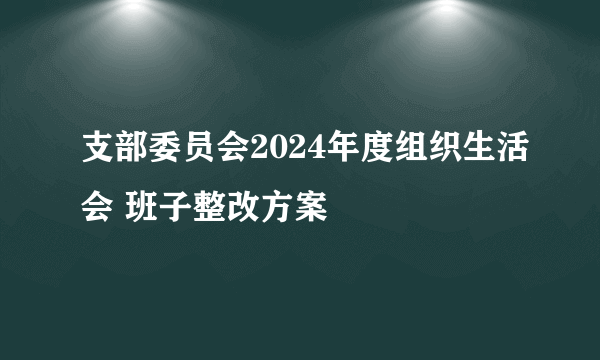 支部委员会2024年度组织生活会 班子整改方案