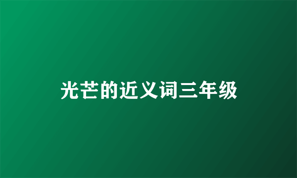 光芒的近义词三年级